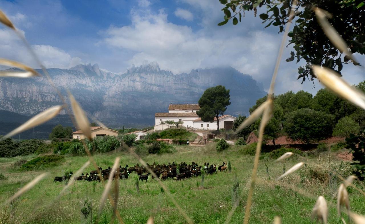 La Frasera Alojamiento Rural Vacarisas Экстерьер фото